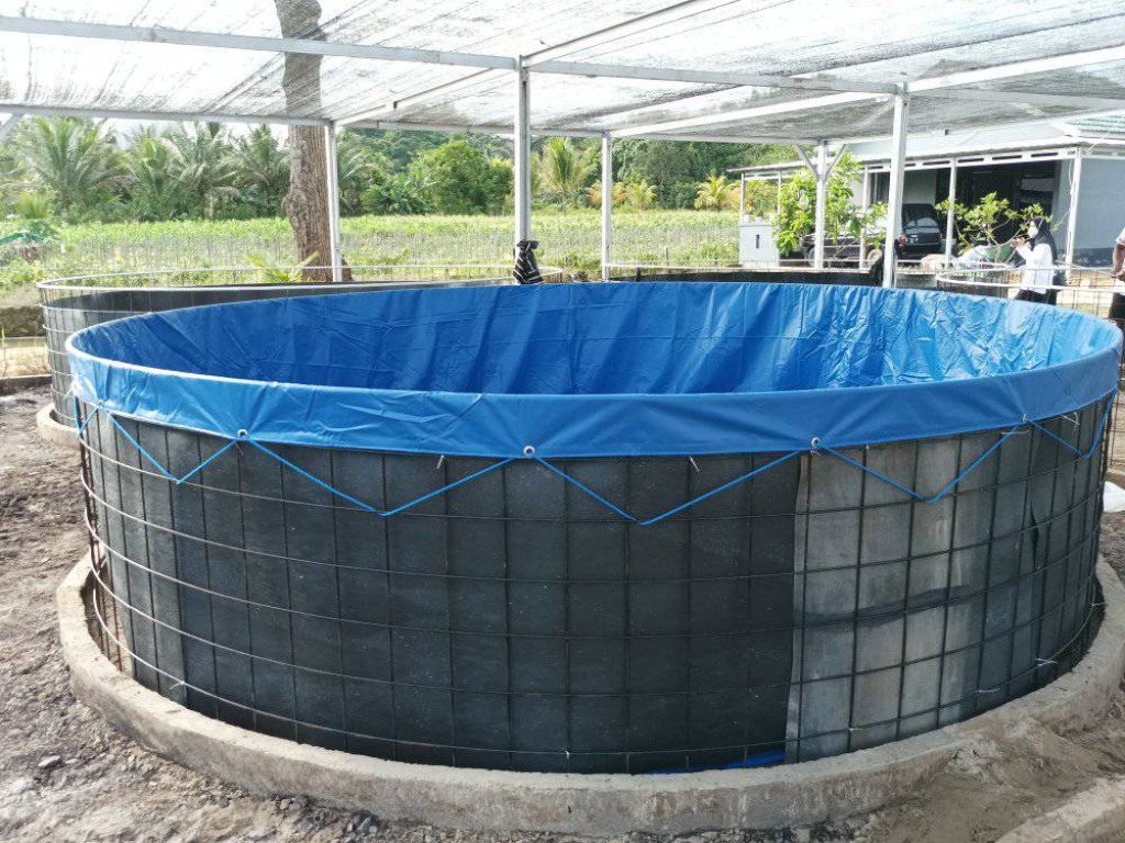 Pendampingan perkembangan pembangunan bioflok