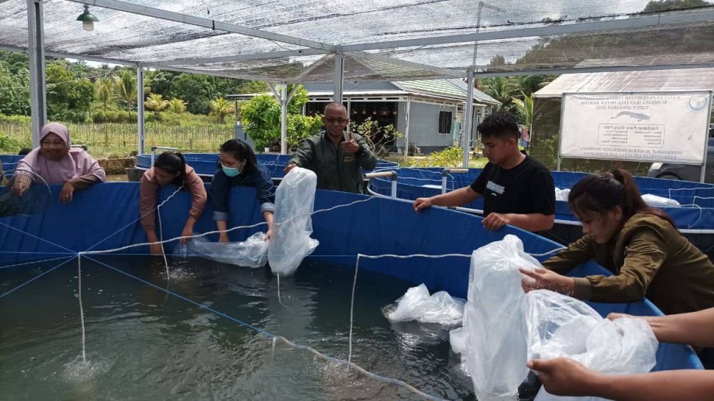 Pendampingan teknis dan pengontrolan hasil treatmen air bioflok dan penebaran benih ikan lele