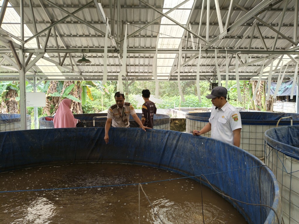 Monitoring Pengambilan Sampel Ikan oleh BKI Balikpapan